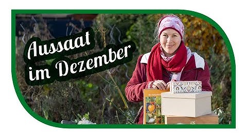 10 to 13 vegetables that you can sow and grow in December | Sow in December