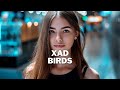 Xad  birds  studio pepper sound 