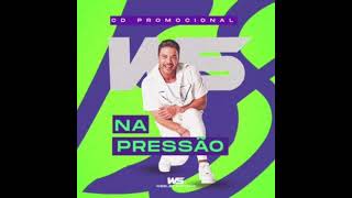 Wesley Safadão - Insuportavelmente Linda (NOVO CD PROMOCIONAL JUNHO DE 2022)