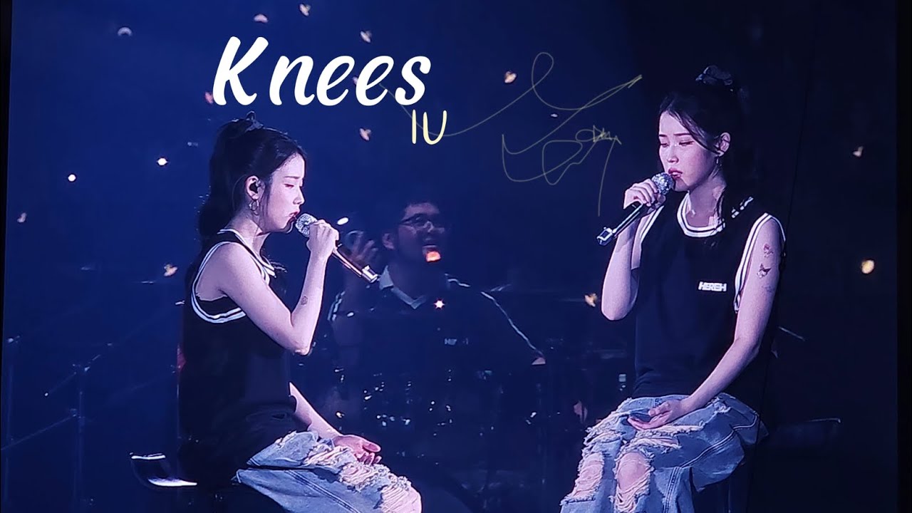 Knees ( En-encore ) - IU HEREH World Tour Concert in Osaka D2