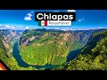 Mexikos Perle: Chiapas - Sehenswürdigkeiten & Tipps (Taco Trip, Folge 03)