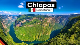 Mexikos Perle: Chiapas - Sehenswürdigkeiten & Tipps (Taco Trip, Folge 03)