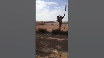 قال رسول الله صلى الله عليه وسلم #الدعاء_المستجاب #اكسبلور #اذكار #ترند