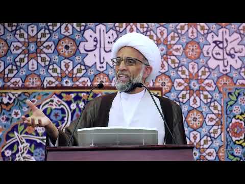 أضواء على كتاب الامام علي صوت العدالة الانسانية ش حسن الصفار