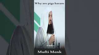 Why are pigs haram - Mufti Menk Why Are Pigs Haram Mufti Menk