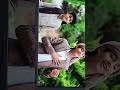 انشوده يا امام الرسل .اداء المنشد عمرو موسى القدسي