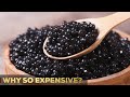 Why Is Caviar So Expensive? | 5 Reasons | So Expensive.