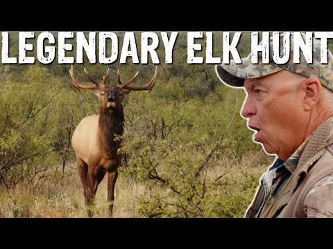 We Stalked an Elk for an ENTIRE YEAR | West Texas Elk Hunt