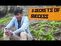 5 Secrets of Success | Goals | Achievement💯