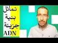 تماثل بنية جزيئة ال ADN التحويل الوراثي الثانية ثانوي 