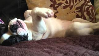 Shirley hacia los 4 meses