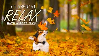 Classical music for studying 🌿 Reading music studying, Lofi autumn classical music for reading relax