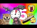 25 cosas que no sabas en 5 minutos  201