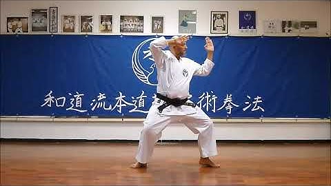 Pinan Yondan - Wado Ryu 4th Pinan Kata - Wado Ryu Hon Dojo - Karate video