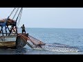 Fisherman Catches Red CrabS Fishing Boat