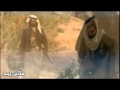 قلبي اللي كلما هب نسناس الهبوب YouTube Flv