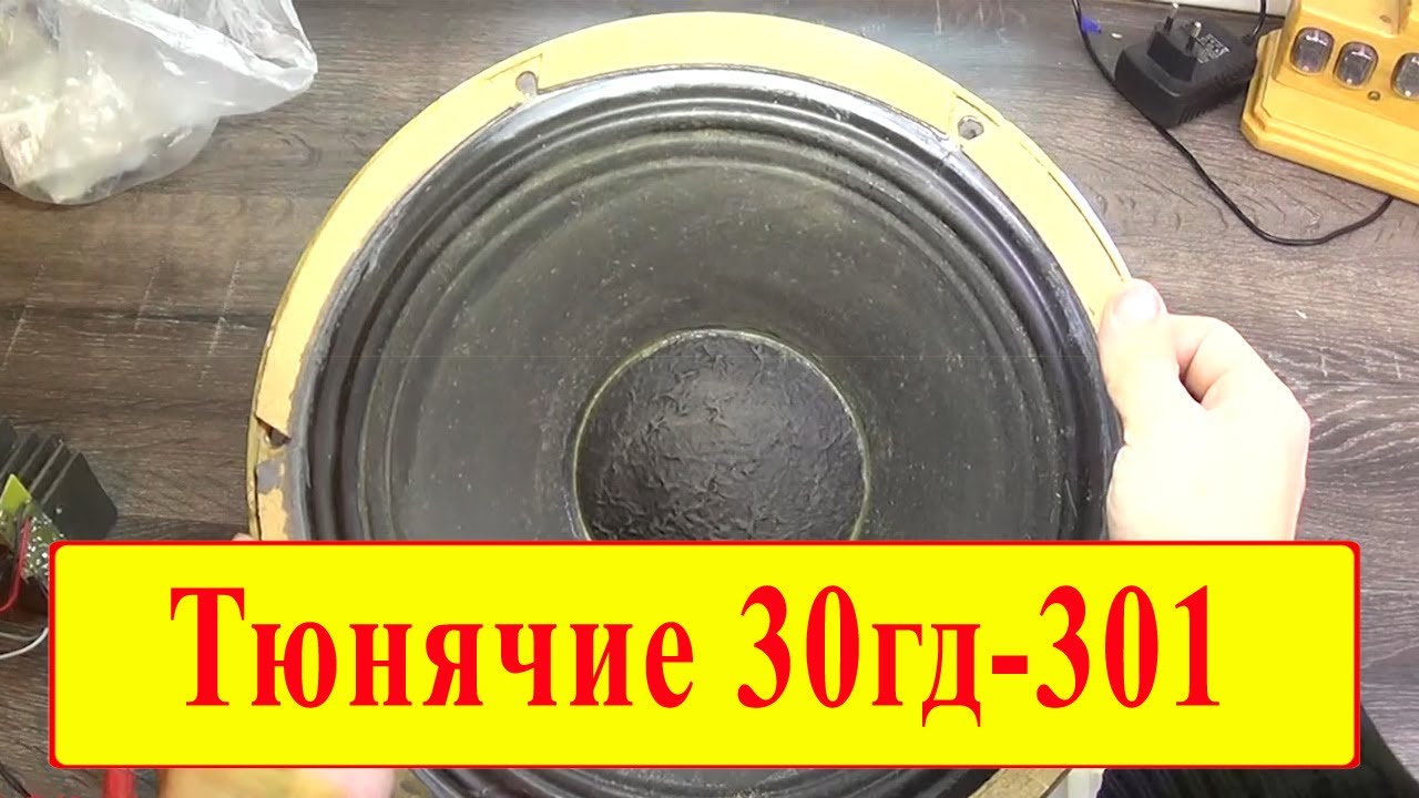 Решается судьба динамиков 30ГД-301 - YouTube