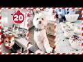 VLOGMAS 2021 ❄ Day 20 | Oreo Truffles &amp; Pups Bath Time