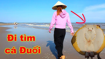 Trải nghiệm giăng câu cá đuối và cái kết bất ngờ | TPMM #3