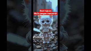 Download Lagu Kucing Lucu 🐾,jangan menyerah | usaha dibalik sebuah harapan #catlovers #cat #cutecat #catsofyoutube MP3
