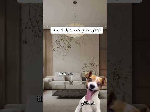 الانثى تمتاز بضحكتها الناعمة اكسبلور تحشيش  ضحك ترند كوميديات رياكشن تحشي هتضحك