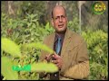 الأرض مقدمة برنامج الأرض مع محمود البرغوثى من قرية أبو رواش 