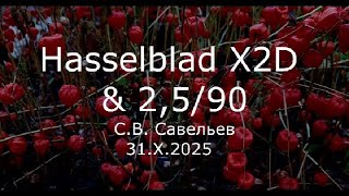 видео: С.В. Савельев - Hasselblad X2D & 2,5/90 картинка: С.В. Савельев - Hasselblad X2D & 2,5/90