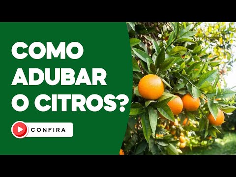 Vídeo: Qual mineral é a laranja?