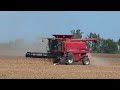 Red Style at Work - CASE IH Axial-Flow® 2577 - Soybeans - #harvestchaser
