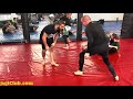 Mixing wrestling with jiujitsu  coach zahabi roll narration