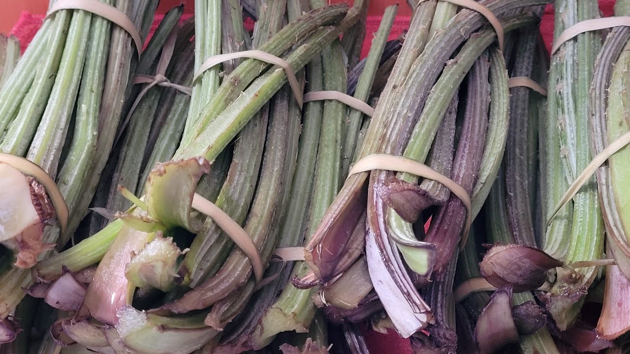 تصبير الخرشف كنز و دواء للروماتيزم يساعد على الهضم للكوليسترول مفيد للكبد،للدماغ، الوقاية من السرطان