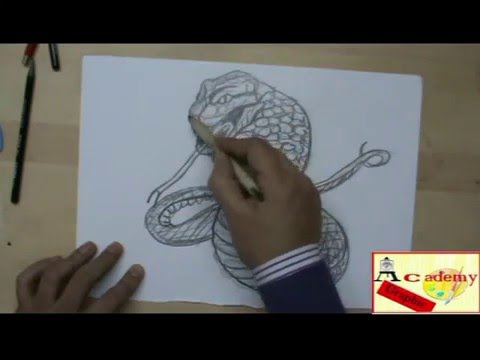 Come Disegnare Un Serpente Con Matita A Grafite Pura Youtube