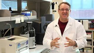 Key water activity concepts, explained by a food science professor