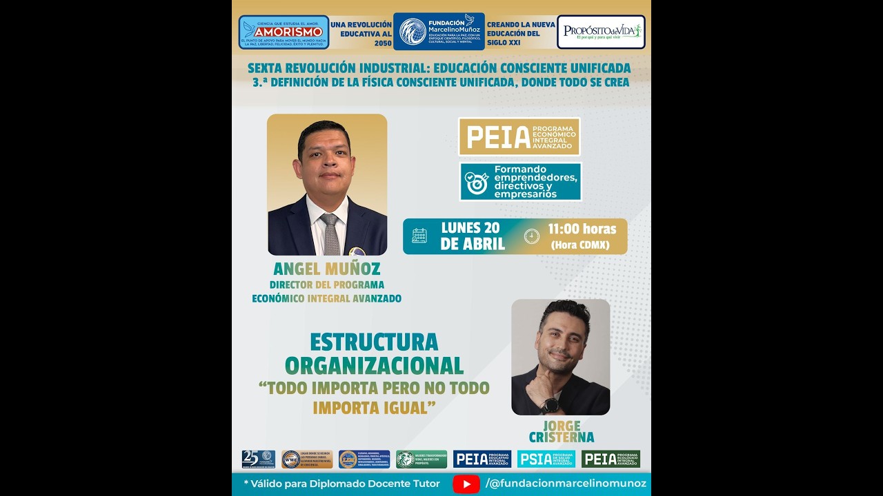 Estructura Organizacional