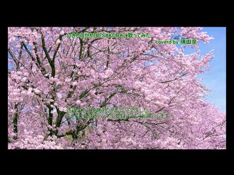 いきものがかり『SAKURA』歌ってみた　coverd by 伊藤彩由里