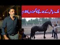 Tm farm  malik nasir  interview  horse tales