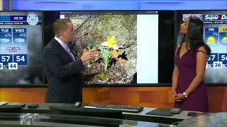 Lingering showers, storms overnight