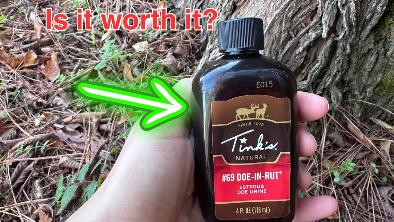 Tinks estrous doe urine. Is it worth it? Review