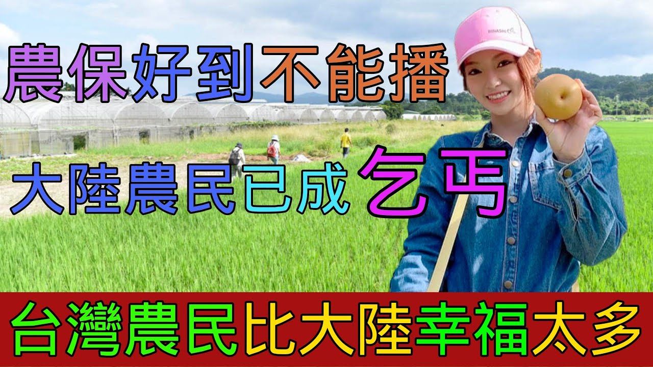 台灣農民比大陸農民幸福太多，中國的農民已經成爲乞丐，台灣農保好到不能大陸播出，大陸網民呼籲不要再給農民發養老金，台灣農民在婚戀市場有優勢？退休工資讓大陸專家難以置信｜Reaction Video