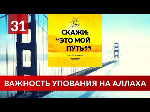 31. Важность упования на Аллаха | Ринат Абу Мухаммад