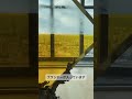 森美術館「六本木クロッシング2025展」作家コメント#1:和田礼治郎|Roppongi Crossing 2025 Artist‘s Message #1: Wada Reijiro