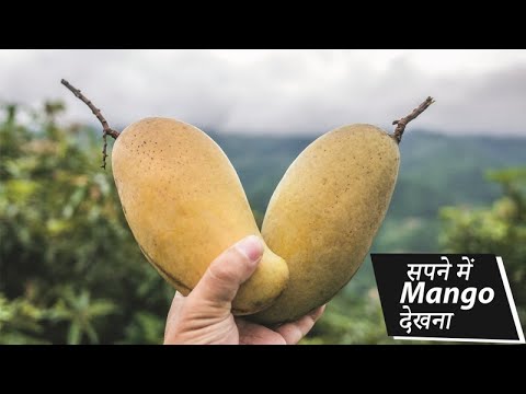 सपने-में-mango-देखना-|-mango-dreams-|-mango-interpretation-|-seeing-raw-mango-in-dream-|-topic-box