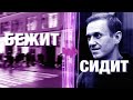 Суд над Навальным — дело «Ив Роше». Что будет с ФБК? «Прекрасная Россия бу-бу-бу» в прямом эфире
