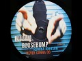 Goosebump feat.Romina Johnson - Never Gonna Do (Dick Carter Original Club Mix)