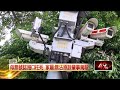 社會事件與交通事故