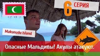 Опасные Мальдивы. На Катю напала акула. Отель Makunudu Island.