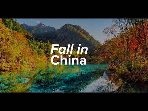 Video: Los mejores lugares para ver el follaje de otoño en China