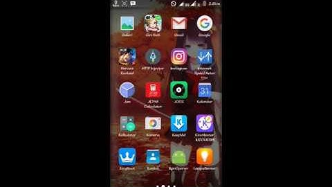 BARU!! PAYLOAD XL DEWA BUG 48FAM