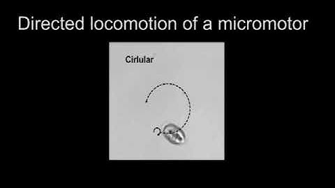 Turning tiny algae into living micromotors controlled by light