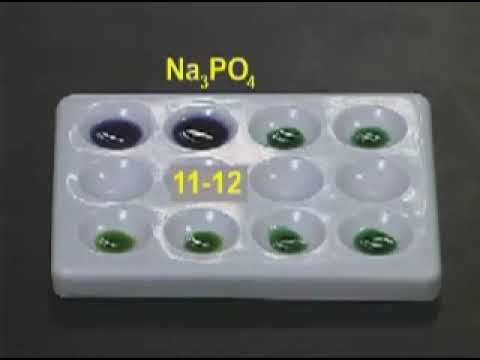 ⁣Ion Hydrolysis Lab